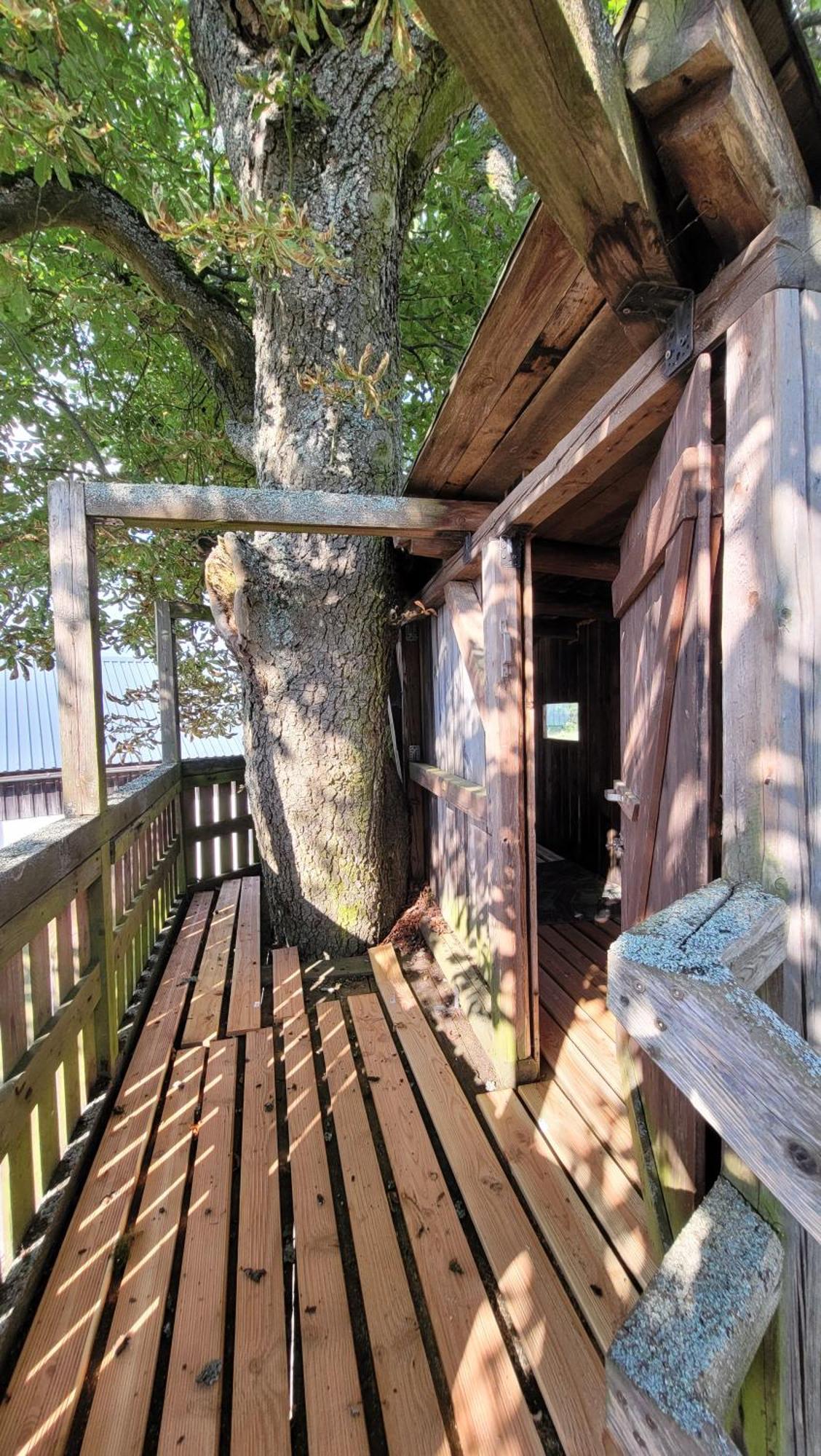 Ruhig Gelegene, Top Moderne Ferienwohnung - Hot Tub Und Sauna Gegen Aufpreis Neuhaus an Der Eger Exterior foto