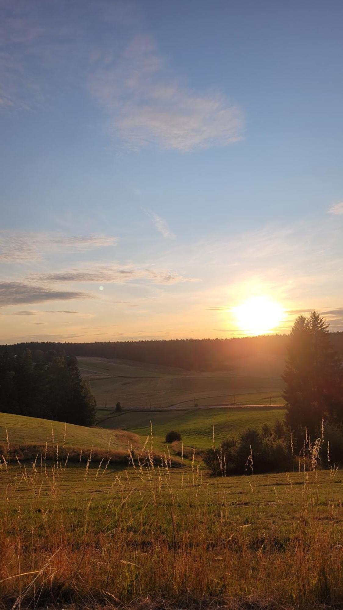 Ruhig Gelegene, Top Moderne Ferienwohnung - Hot Tub Und Sauna Gegen Aufpreis Neuhaus an Der Eger Exterior foto